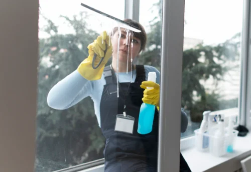 Nettoyage de vitres intérieures et extérieures à la Gaubretière